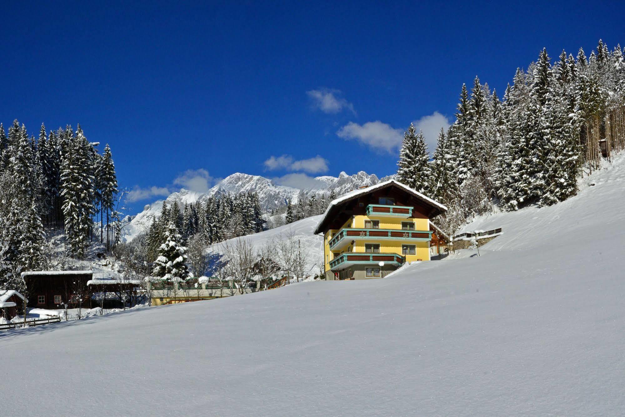 مبيت وإفطار Mühlbach am Hochkönig Haus Elisabeth المظهر الخارجي الصورة