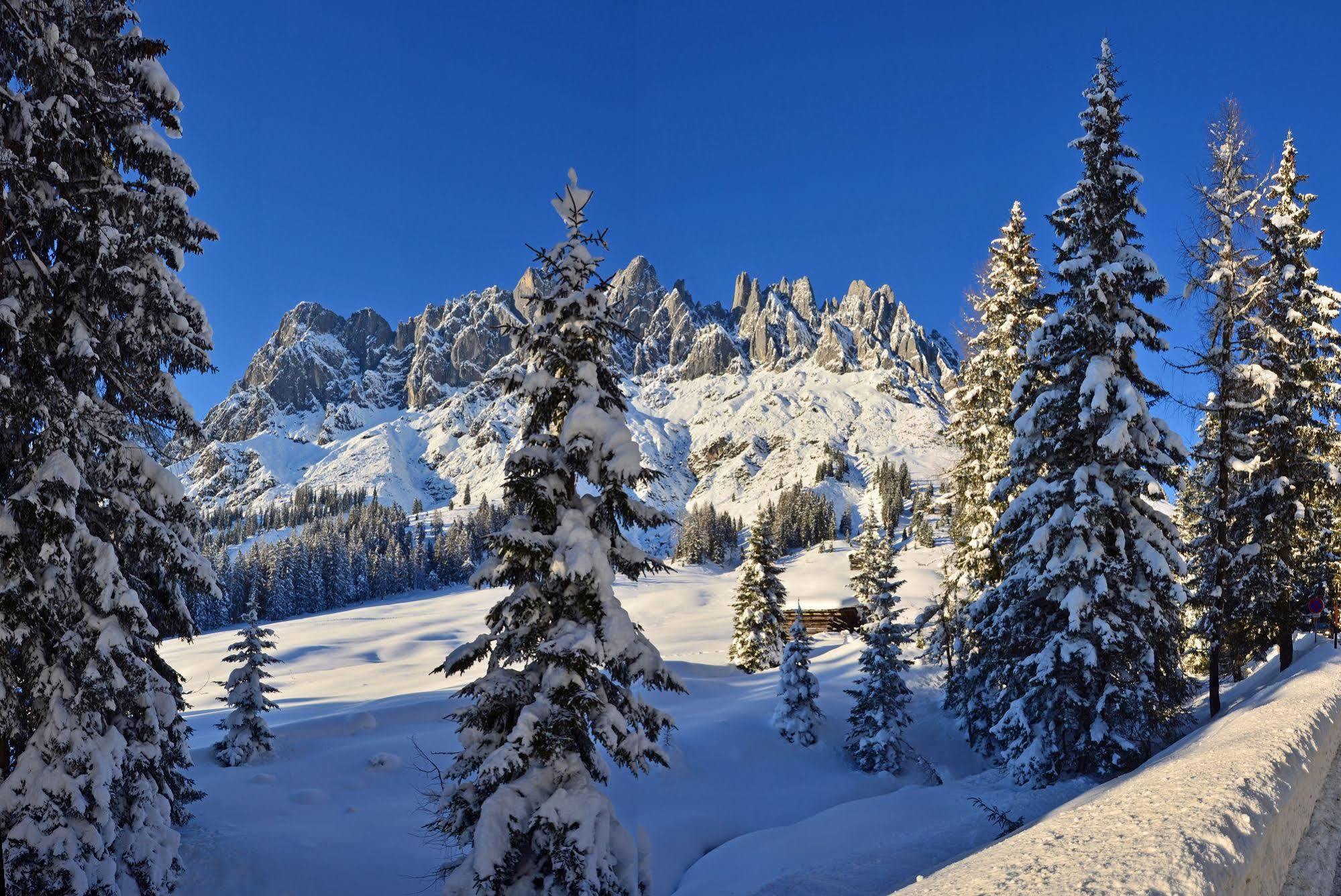 مبيت وإفطار Mühlbach am Hochkönig Haus Elisabeth المظهر الخارجي الصورة