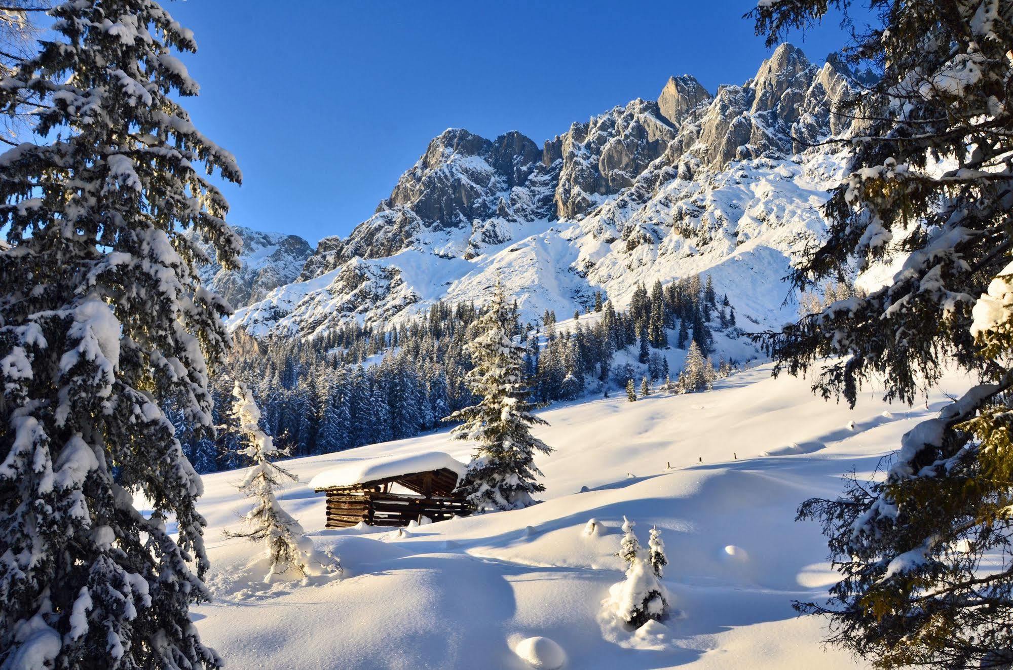 مبيت وإفطار Mühlbach am Hochkönig Haus Elisabeth المظهر الخارجي الصورة